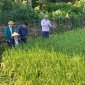 Tổ chức thăm đồng đánh giá năng suất, sản lượng vụ thu mùa năm 2022