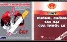 Hưởng ứng ngày thế giới không khói thuốc lá 31/5 và tuần lễ quốc gia không khói thuốc lá